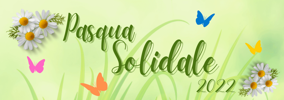 copertina shop solidale